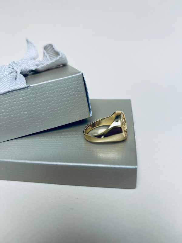 Anel Signet Feminino Banhado a Ouro em Metal Premium – Serenité