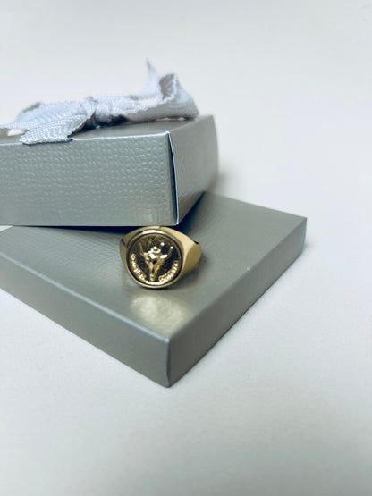 Anel Signet Feminino Banhado a Ouro em Metal Premium – Serenité