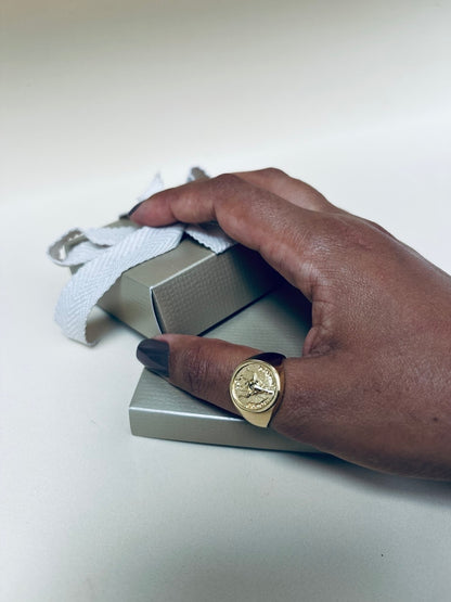 Anel Signet Feminino Banhado a Ouro em Metal Premium – Serenité